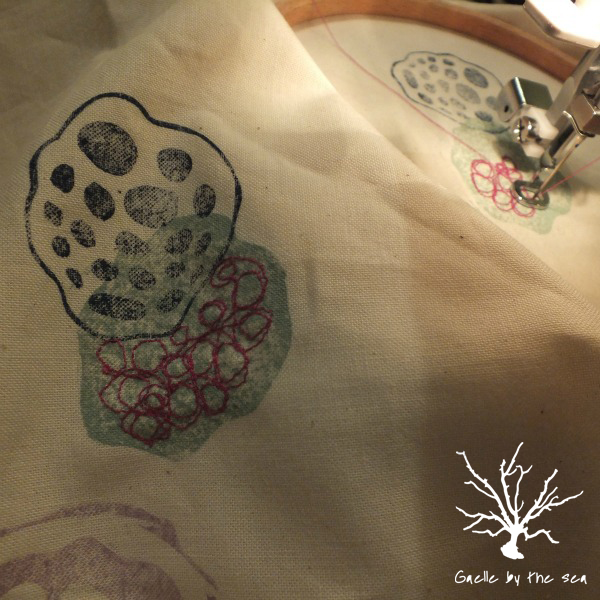 Lotus seed pods 1e