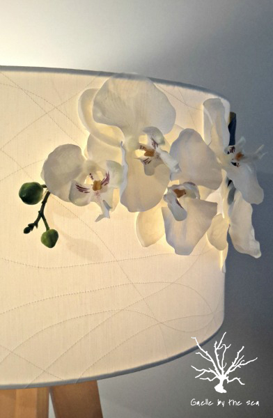 Orchids 2e