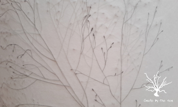 Grasses 1