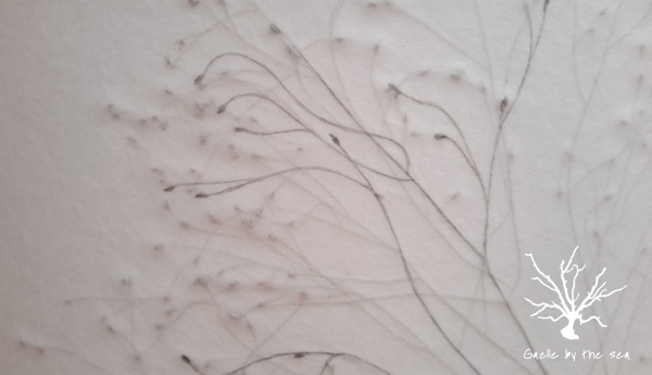 Grasses 2
